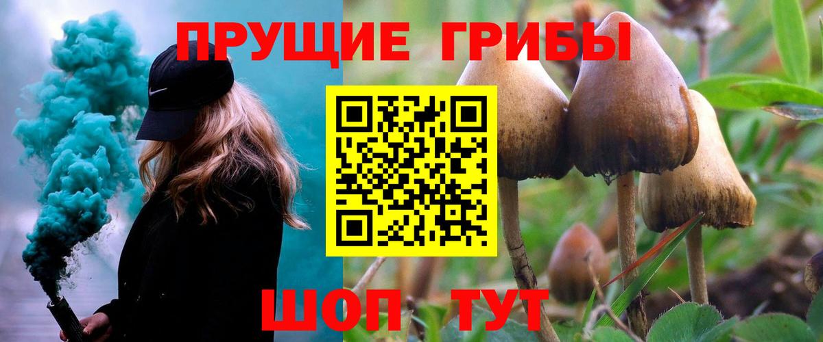 Галлюциногенные грибы мухоморы  Вход с VPN  Междуреченск 