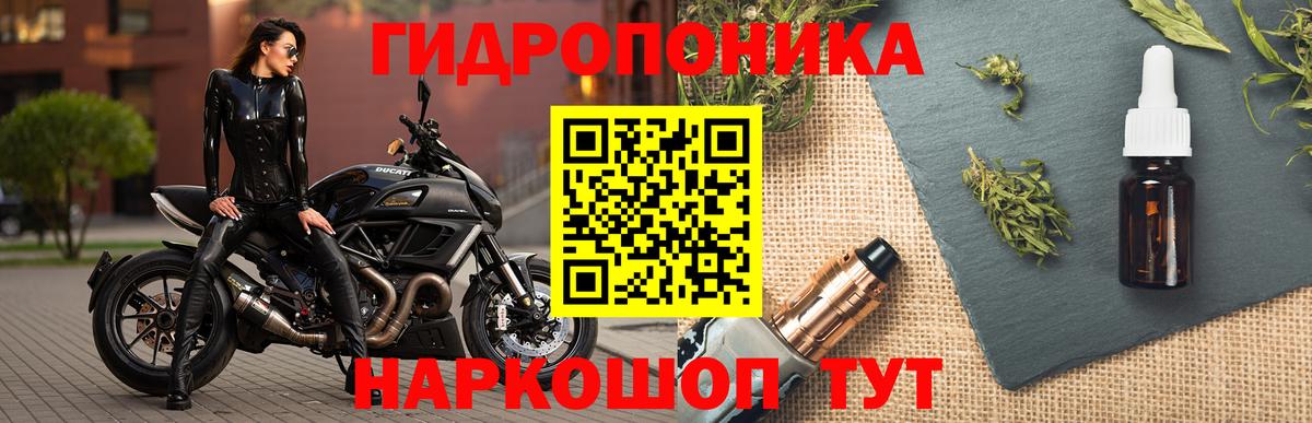 Междуреченск  Конопля OG Kush  Вход с VPN  Марихуана VHQ 